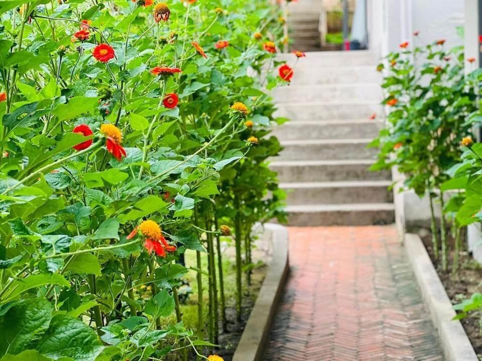 Golden Lotus Spa & Homestay Ap Thien Phuoc Экстерьер фото