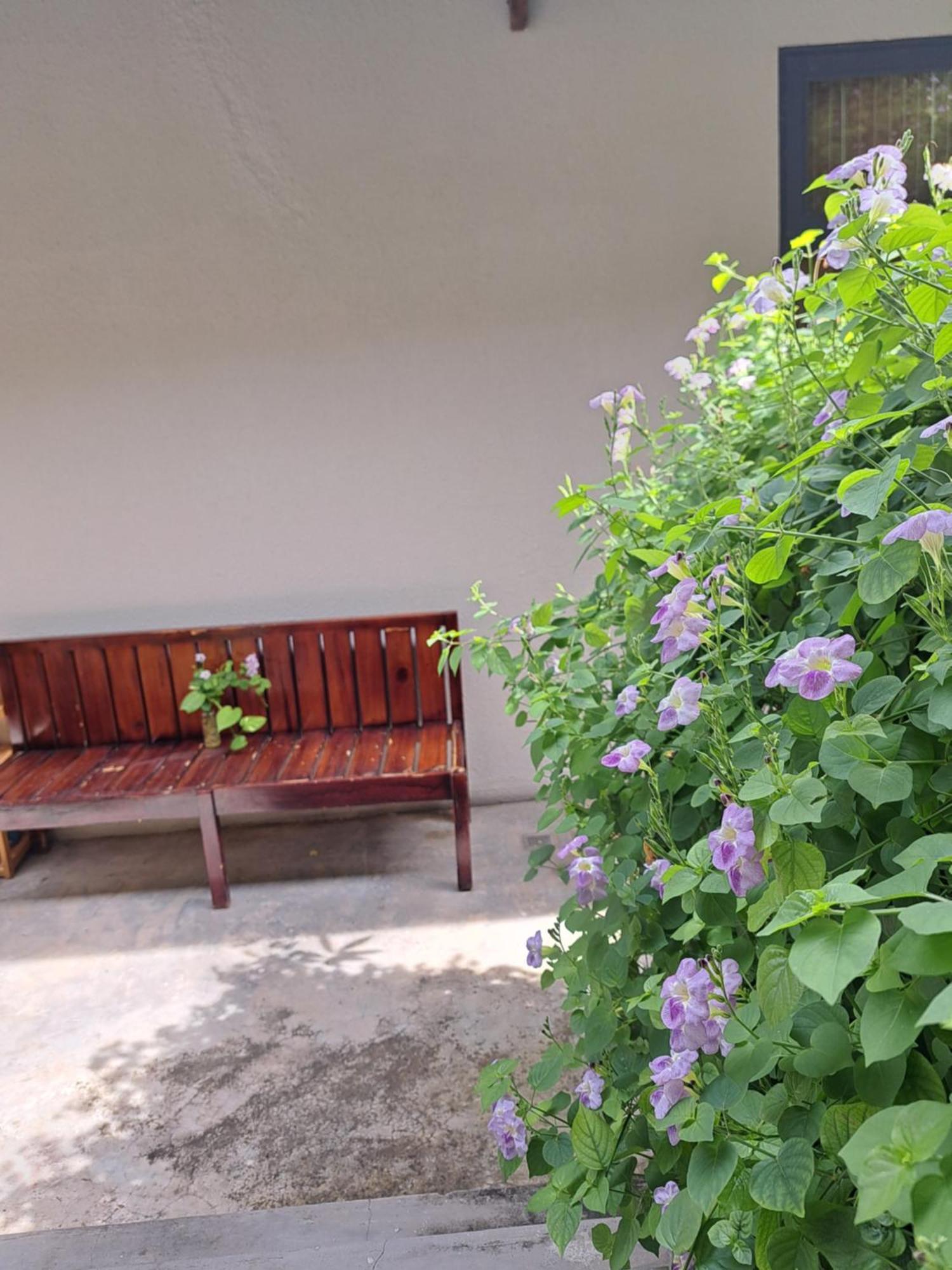 Golden Lotus Spa & Homestay Ap Thien Phuoc Экстерьер фото