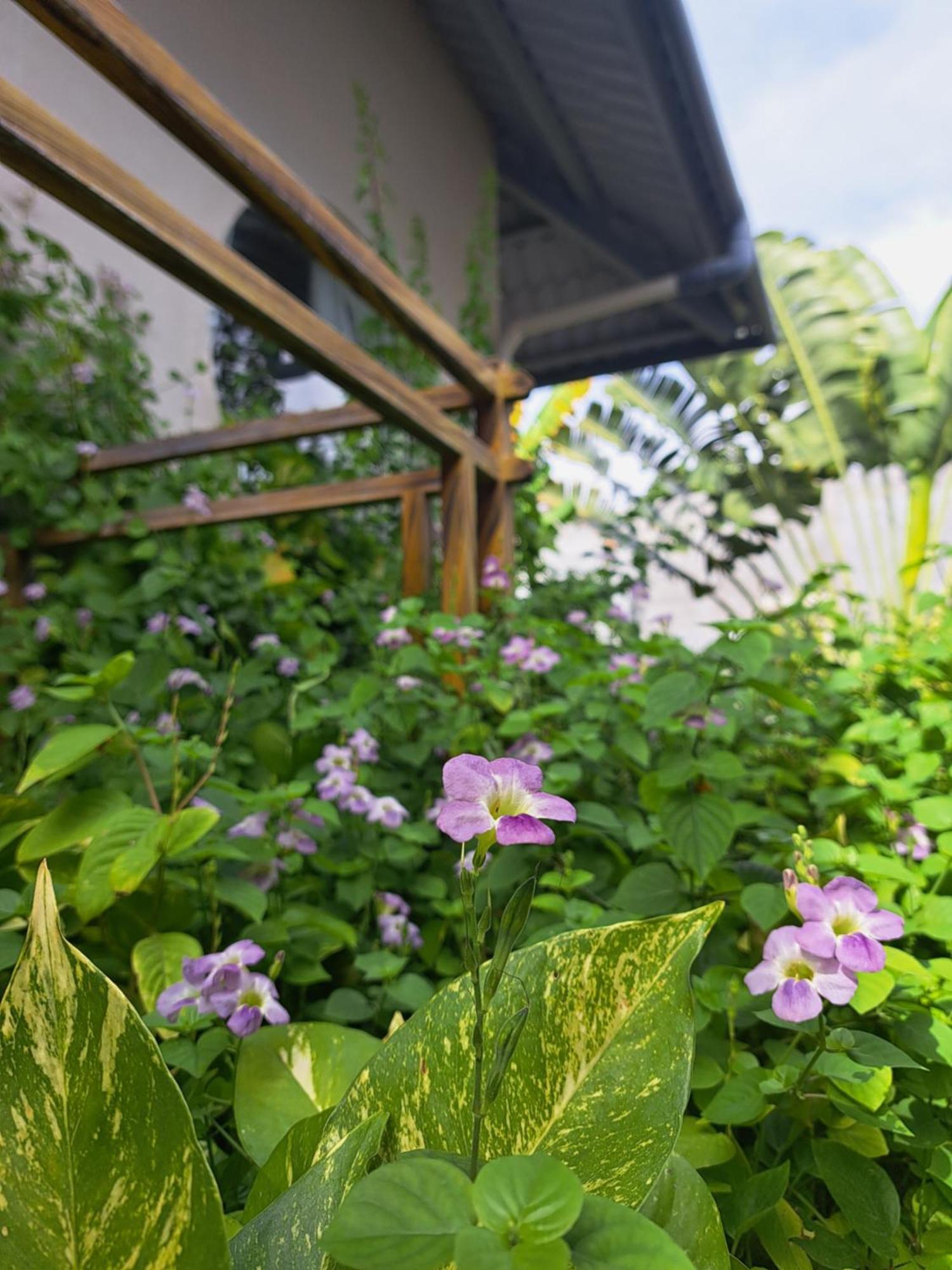 Golden Lotus Spa & Homestay Ap Thien Phuoc Экстерьер фото