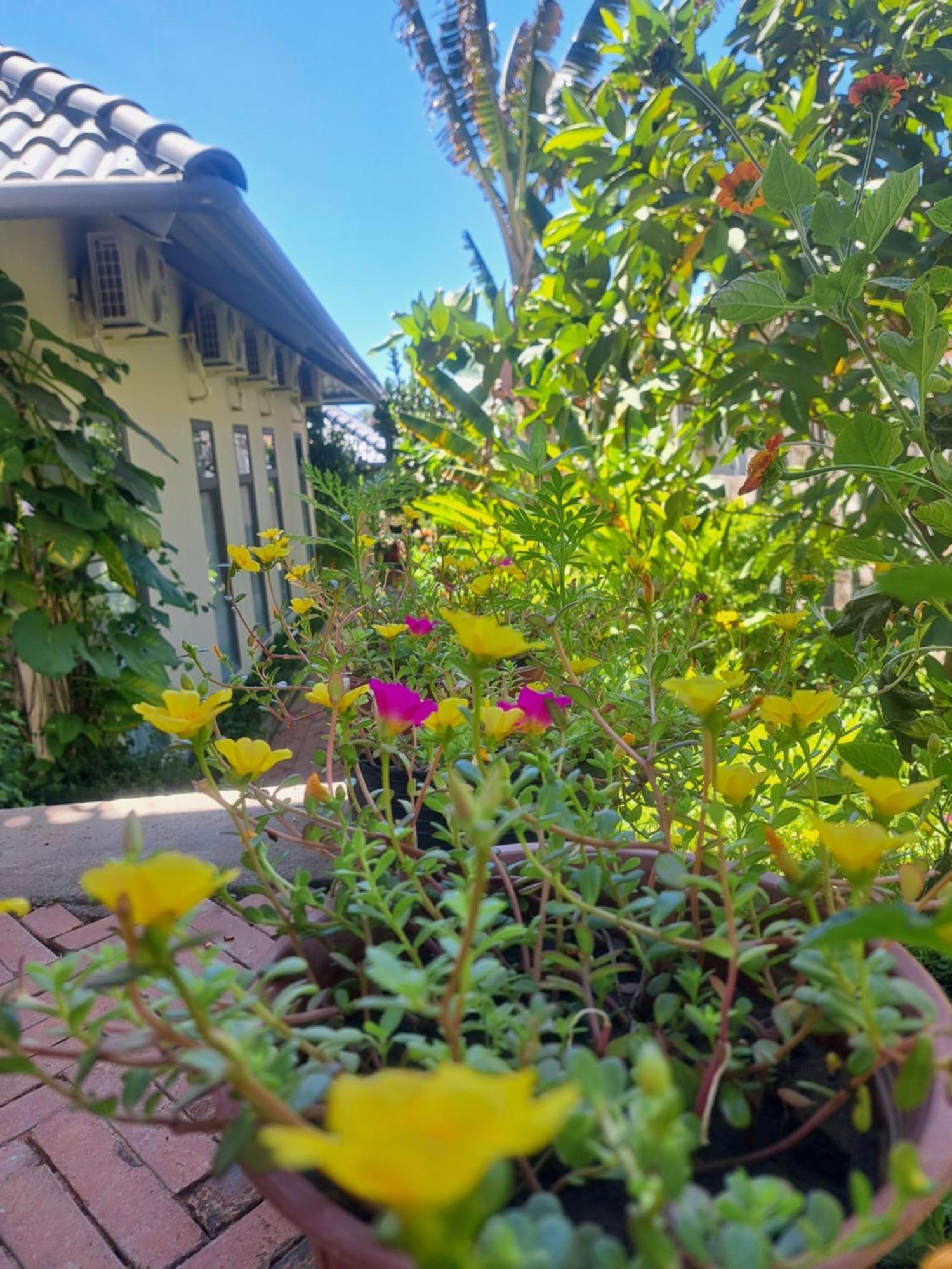 Golden Lotus Spa & Homestay Ap Thien Phuoc Экстерьер фото