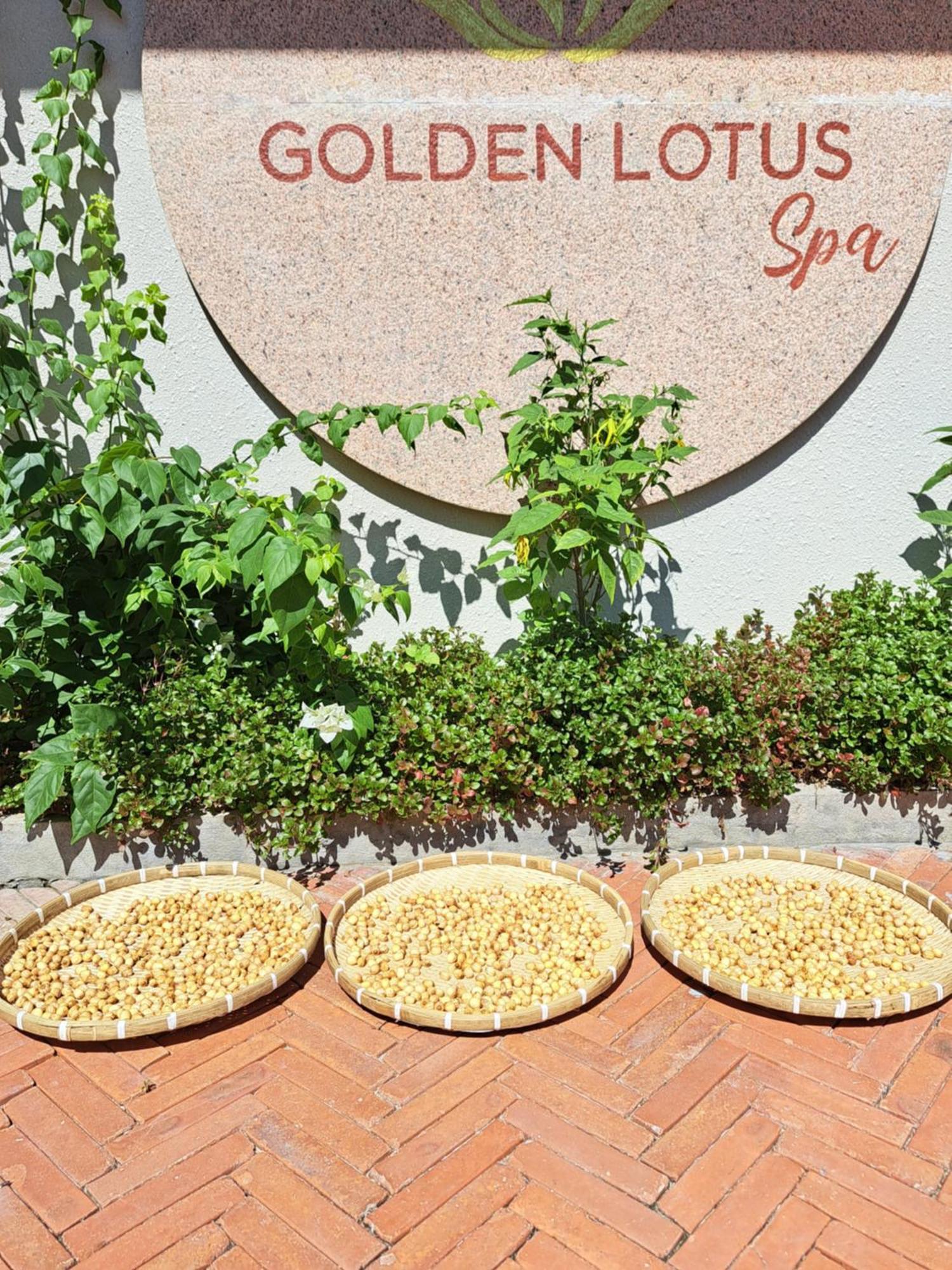 Golden Lotus Spa & Homestay Ap Thien Phuoc Экстерьер фото